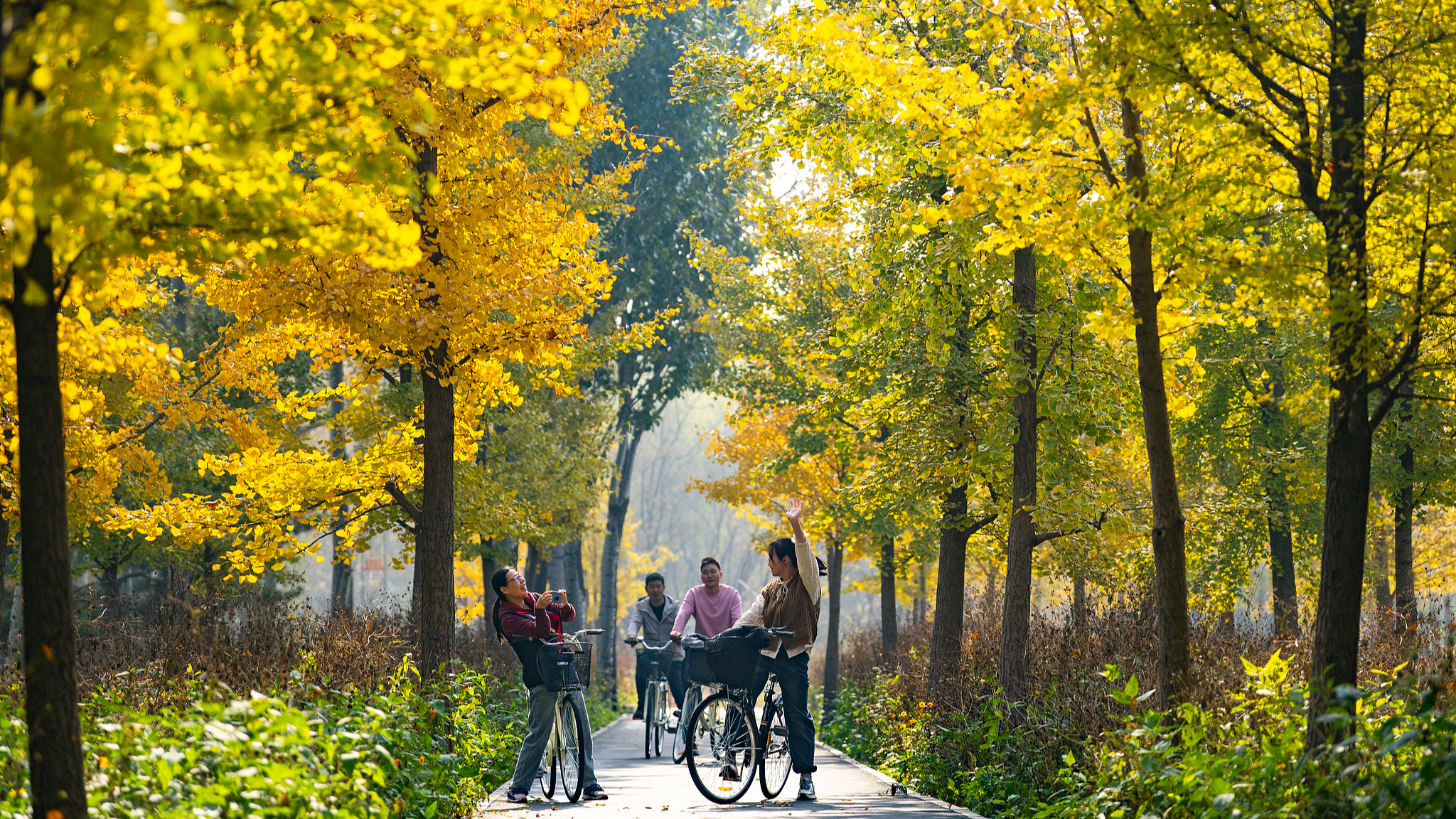 Chaoyang District, an urban oasis