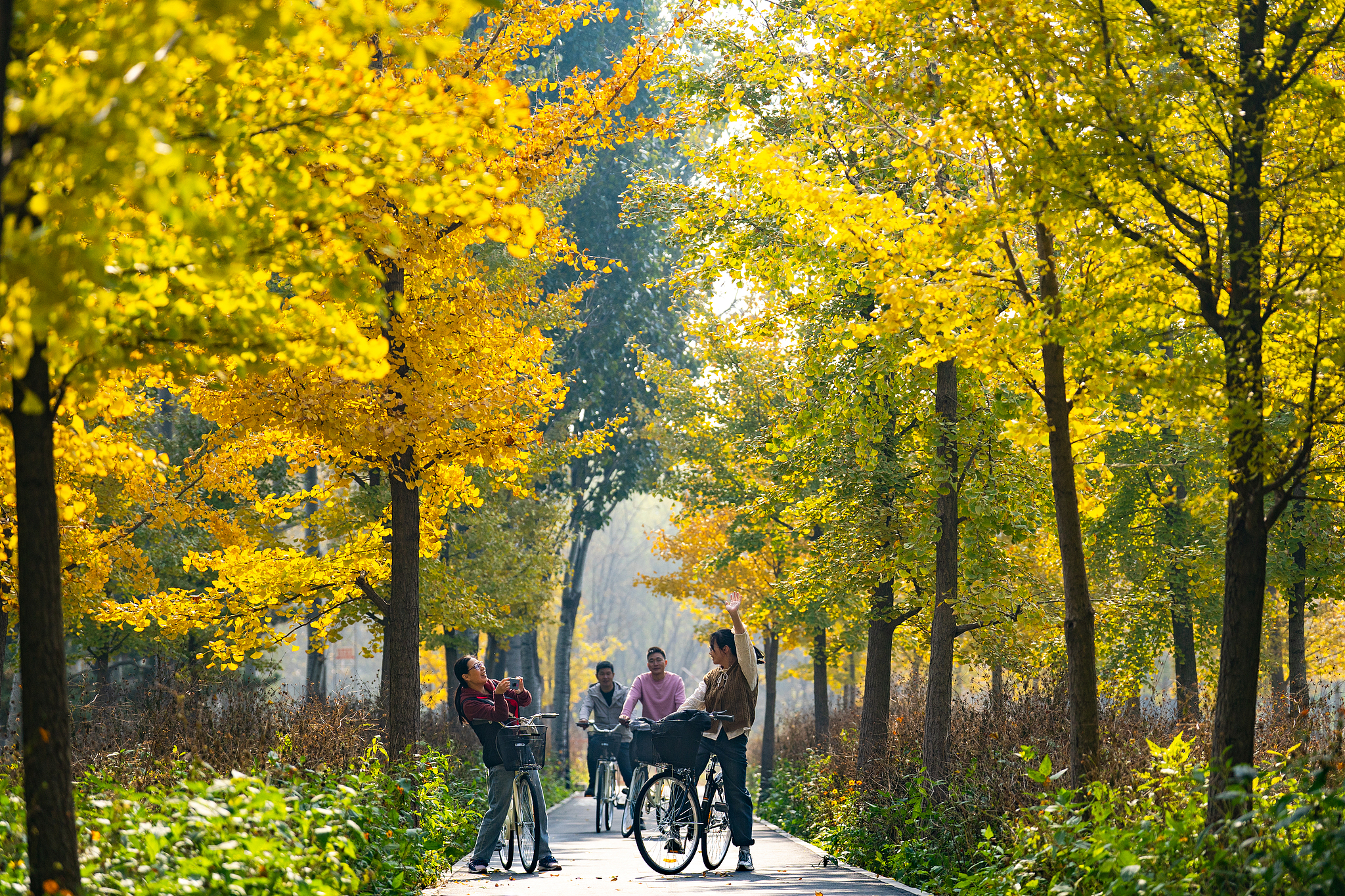 A view of Dongba Country Park, October 29, 2024. /CFP