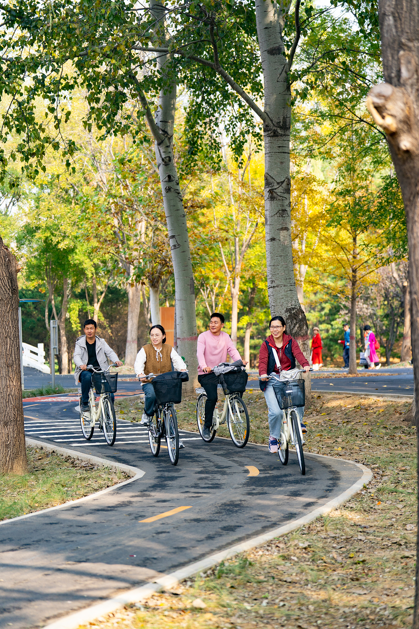 Riding bicycles at Dongba Country Park, October 29, 2024. /CFP