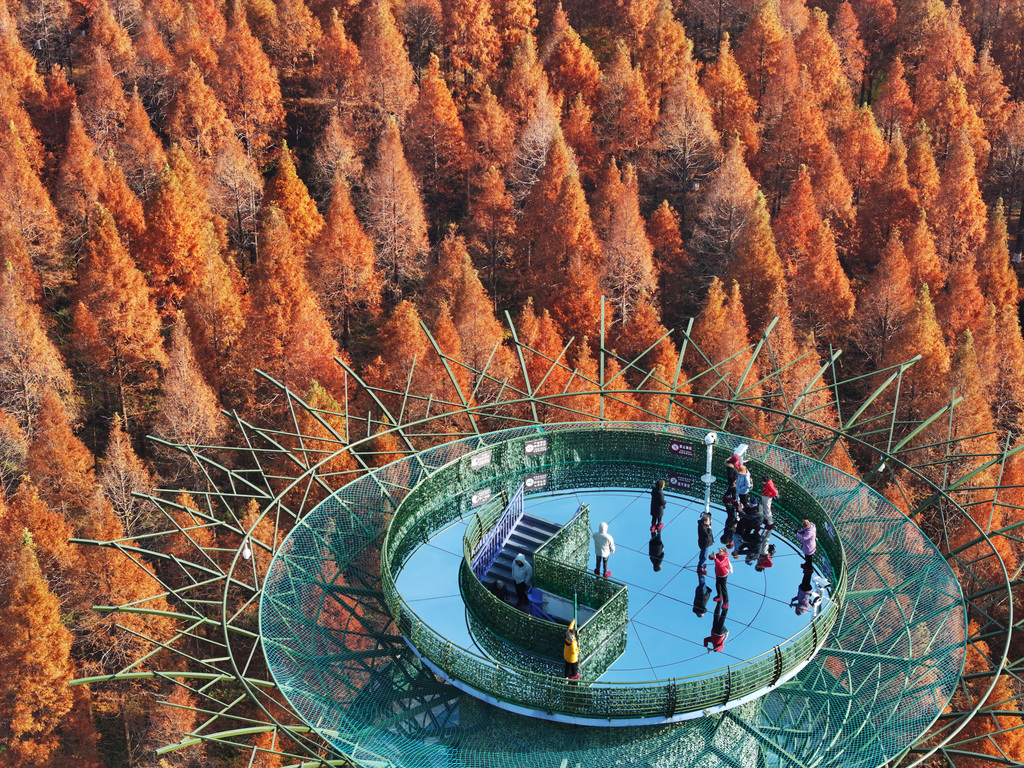 Visitors enjoy the stunning scenery at Dongtai Huanghai National Forest Park in Yancheng City, Jiangsu Province on December 14, 2024. /CFP 