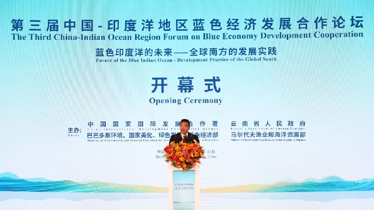 China and Indian Ocean Nations Look to Expand Collaboration on Blue Economy