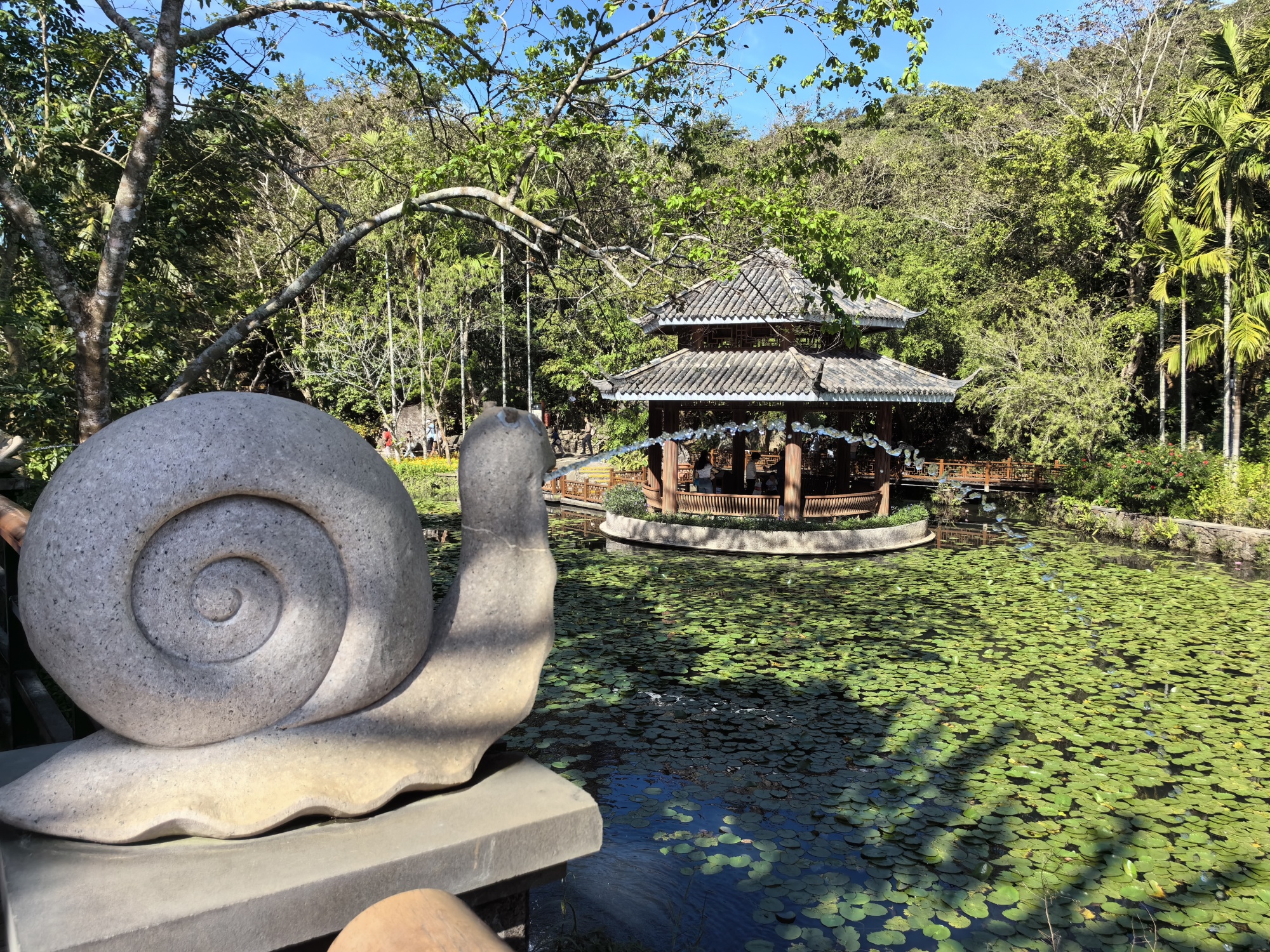 A view of Yalong Bay Tropical Paradise Forest Park in Sanya, south China's Hainan Province /CGTN