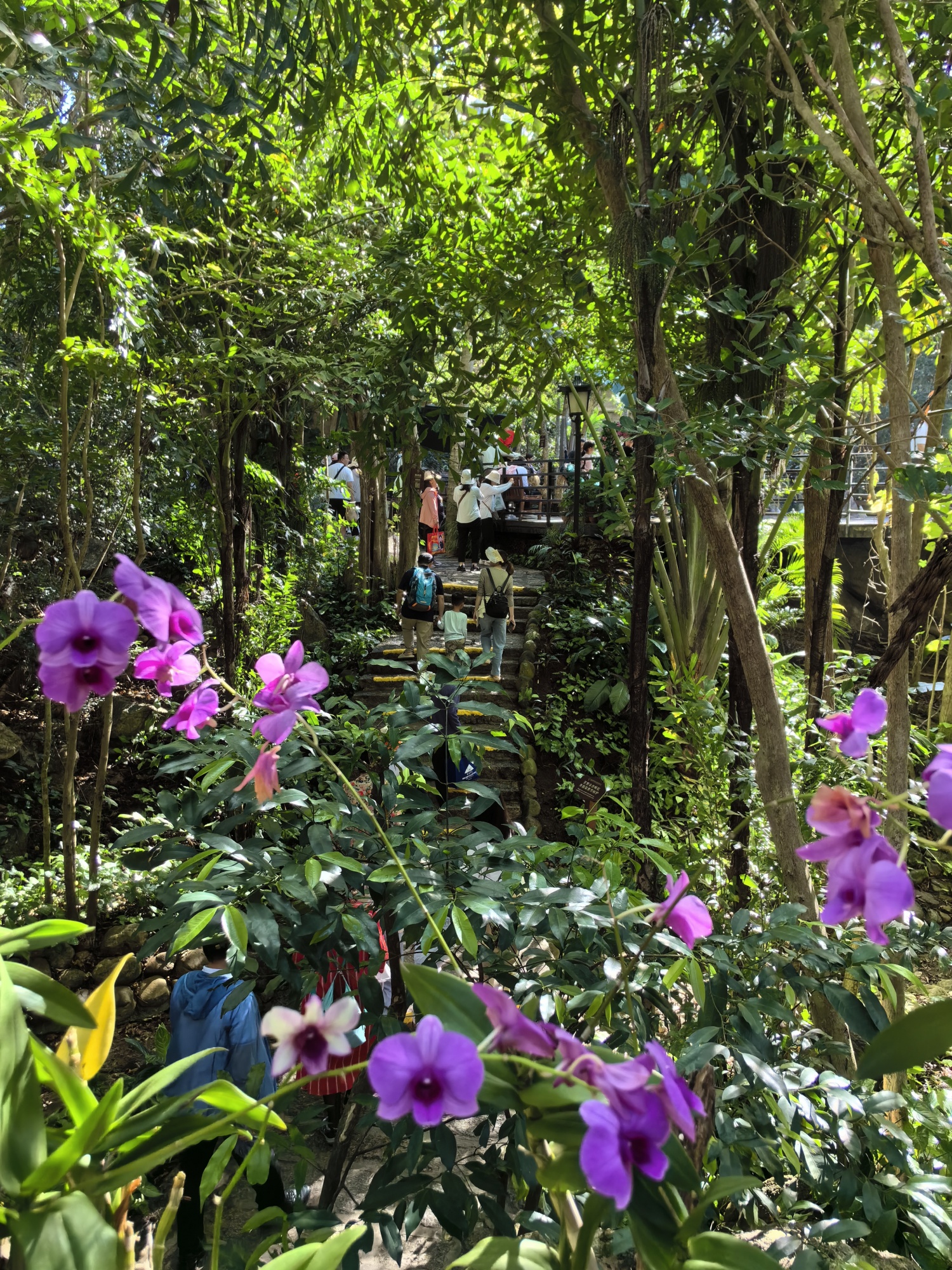 A view of Yalong Bay Tropical Paradise Forest Park in Sanya, south China's Hainan Province /CGTN