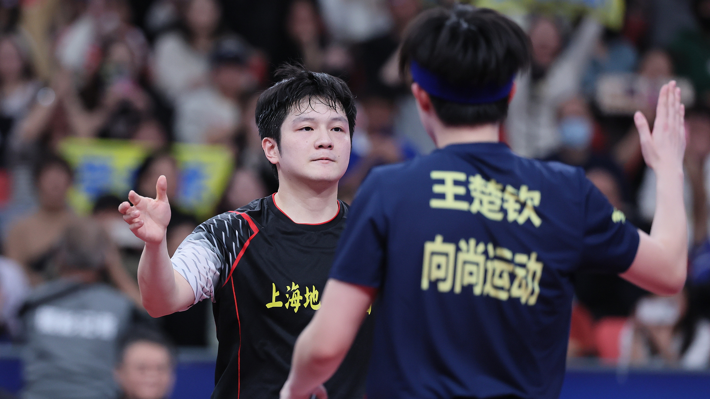 Fan Zhendong and Wang Chuqin react after the singles match between Shanghai and Shandong in China Table Tennis Super League in Changsha, Hunan Province, December 16, 2024. / CFP