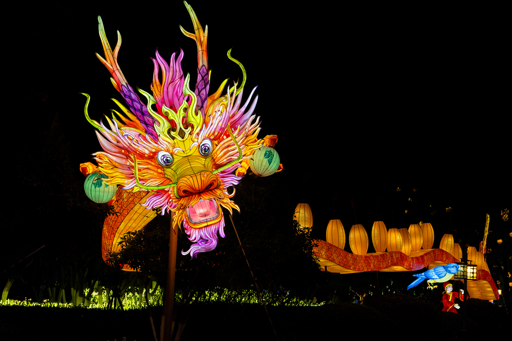 Installations for the 39th Qinhuai Lantern Festival light up Bailuzhou Park in Nanjing, Jiangsu Province, on December 15, 2024. /CFP   