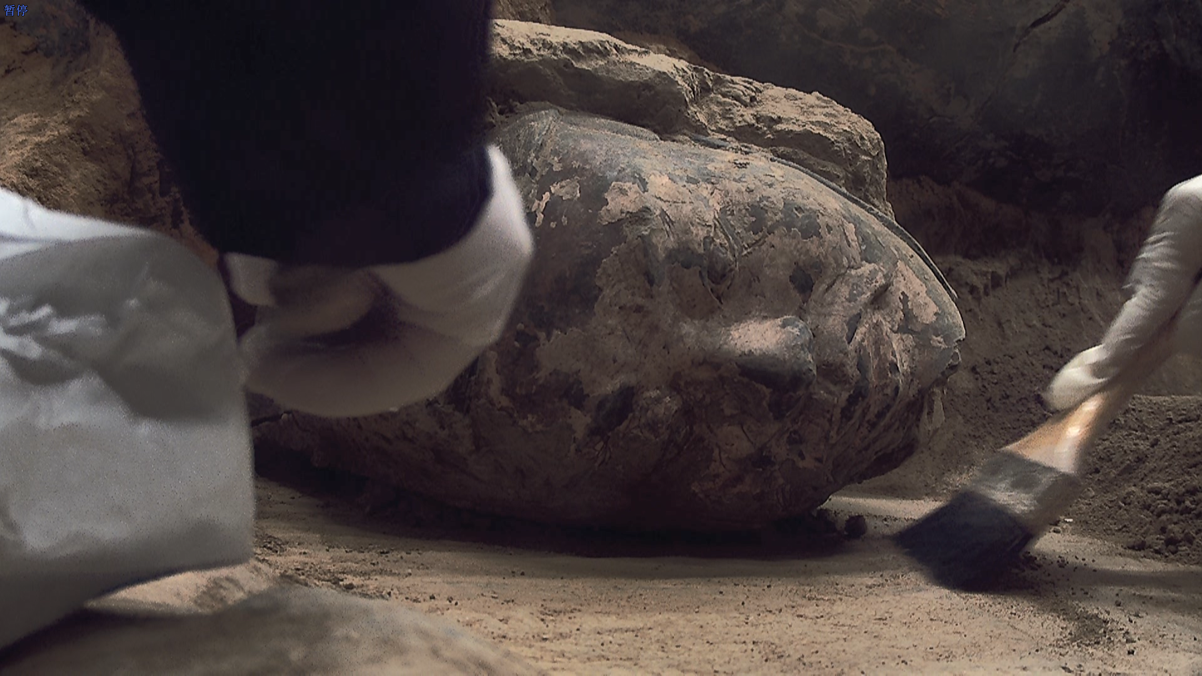 The officer figurine head extracted from the archaeological excavation site of Pit No. 2 of the Terracotta Warriors in Xi'an, northwest China's Shaanxi Province, December 18, 2024. Wen Hao/China Media Group