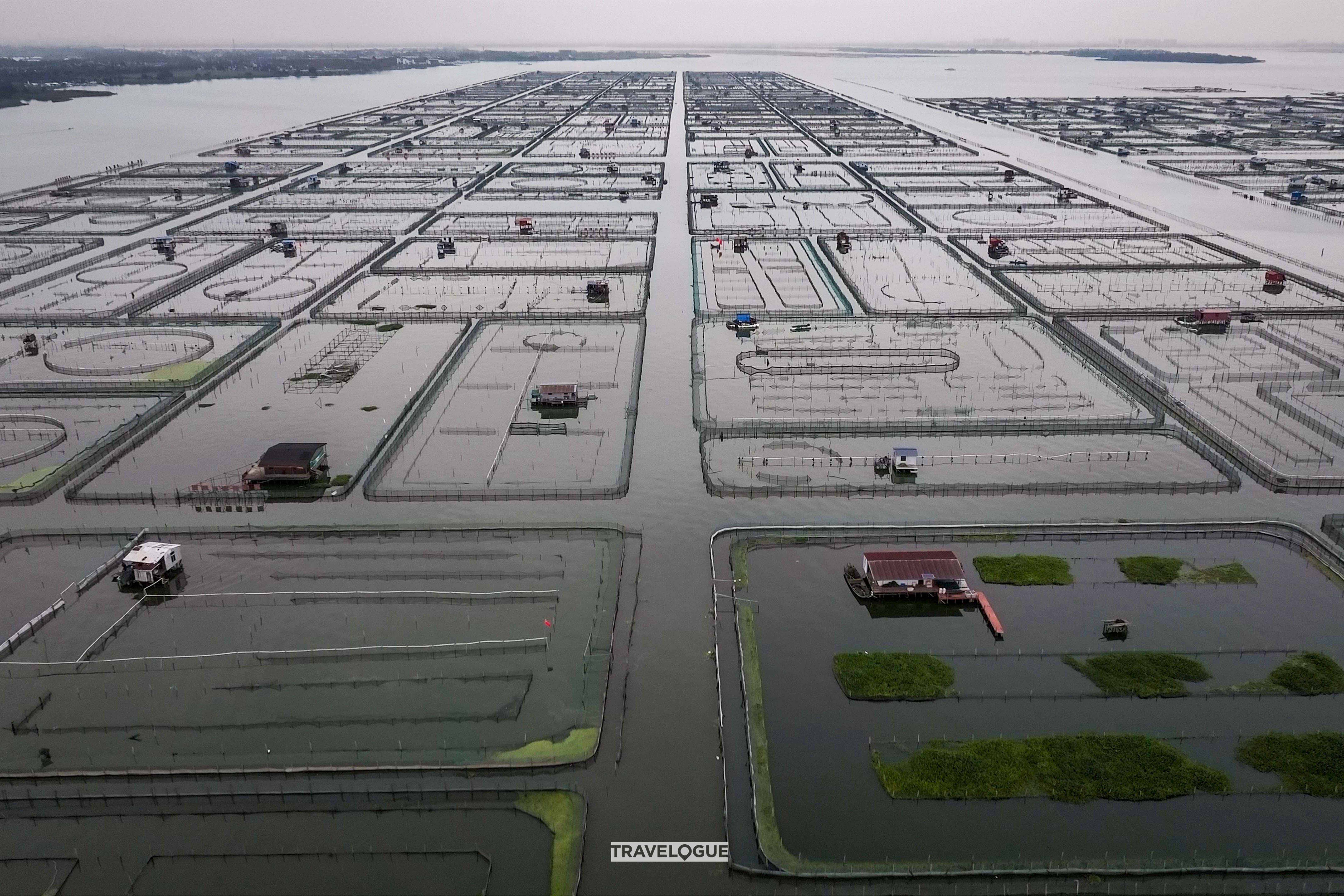 A view of the hairy crab farms on Yangcheng Lake in Suzhou, Jiangsu Province. /CGTN