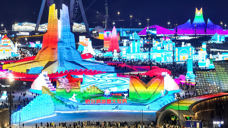 Live: Harbin Ice and Snow World attracts visitors to NE China