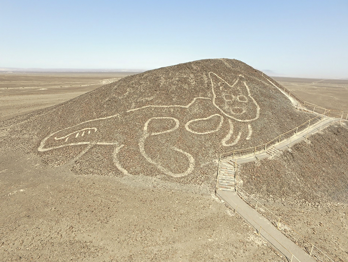 A giant cat figure etched into a slope at the Unesco world heritage site in the desert near the town of Nasca in southern Peru. /CFP