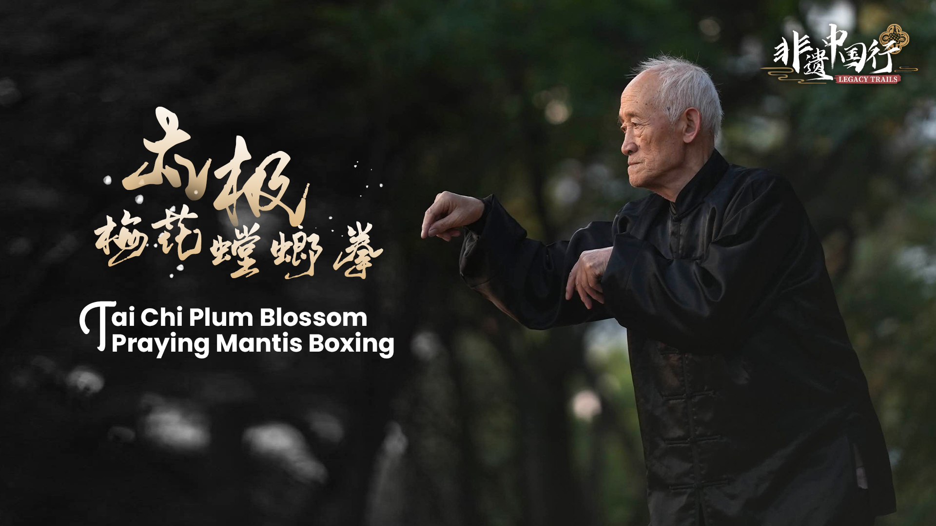 Legacy Trails: Tai Chi Plum Blossom Praying Mantis Boxing