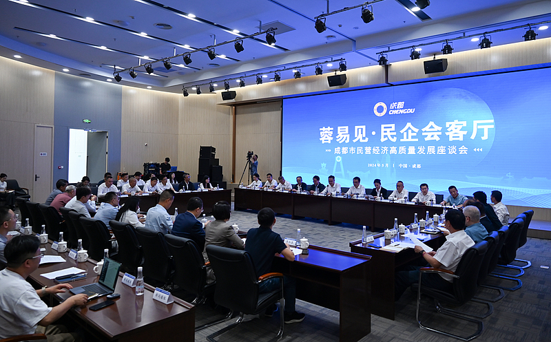 A symposium on high-quality development of the private economy in Chengdu, China's Sichuan Province, May 7, 2024. /CFP