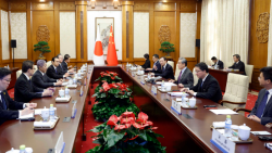 Foreign ministers of China, Japan hold talks in Beijing