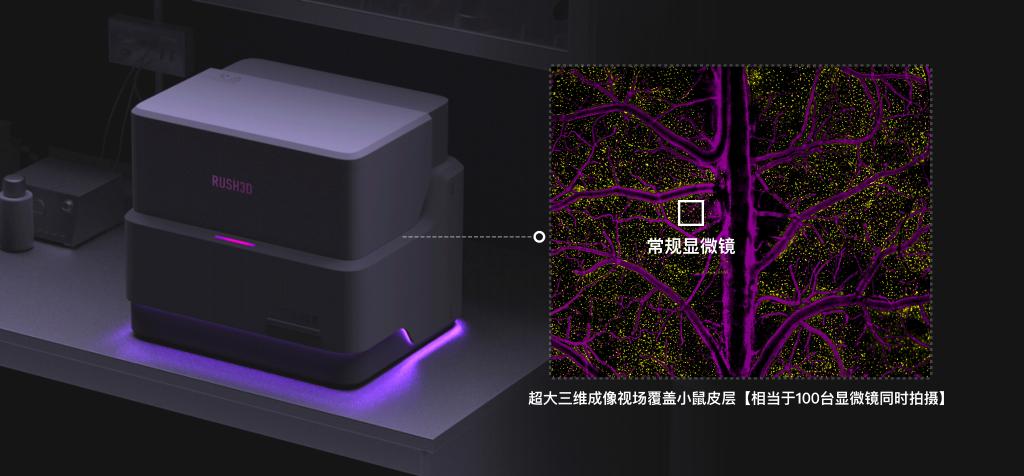 The RUSH3D system prototype (L) and a comparison of the field of view between RUSH3D and conventional microscopes in live mouse brain imaging. /Tsinghua University