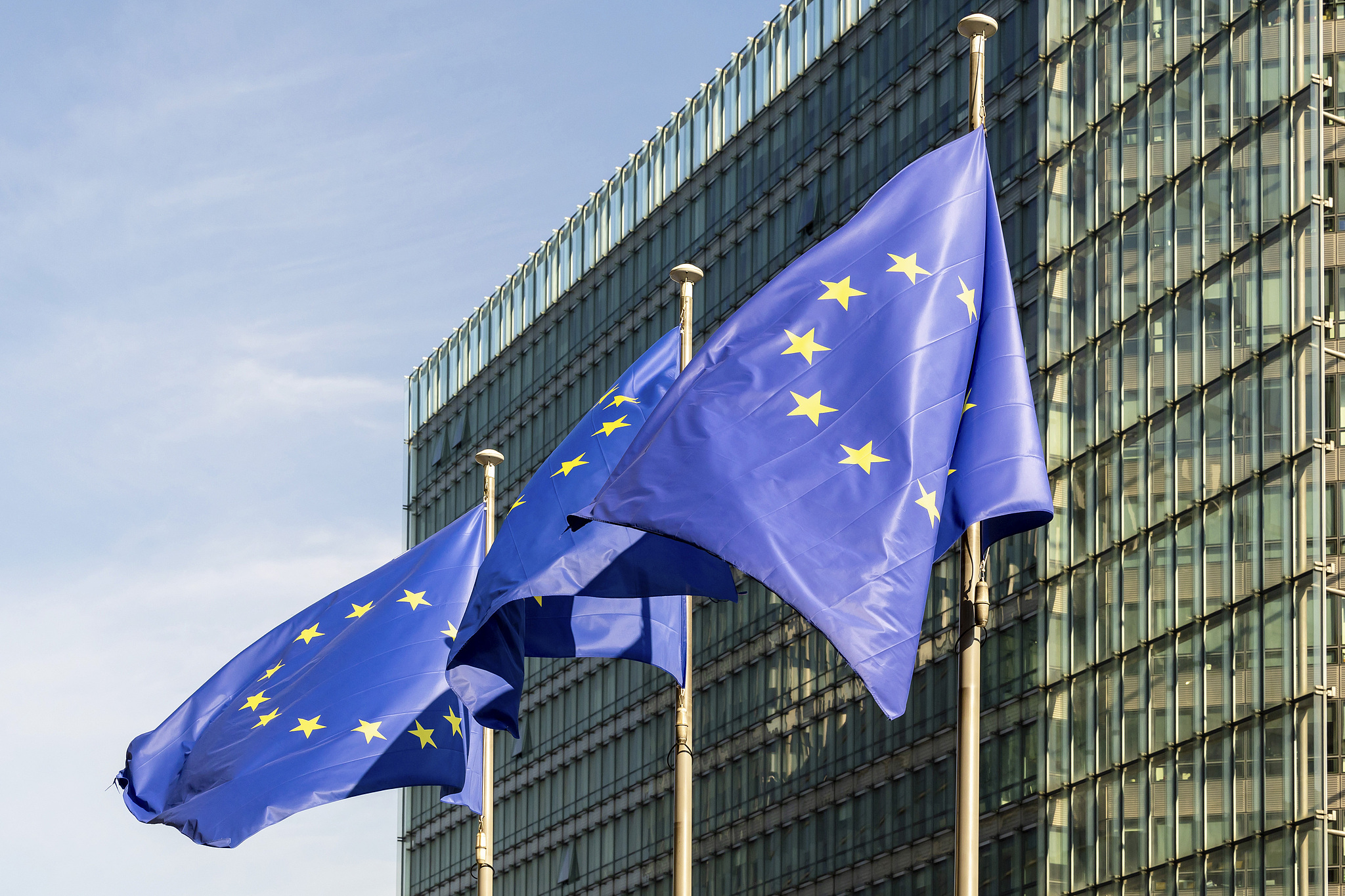 The EU flags flap in the wind ahead of an EU summit in Brussels, Belgium, June 27, 2024. /CFP