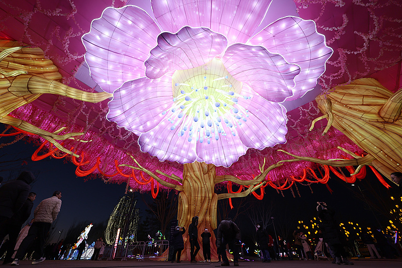 Various giant lanterns from Zigong City are seen on display at Wenyuhe Park in Beijing, December 28, 2024. /CFP