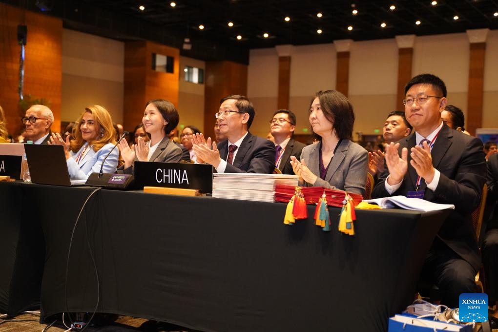 Chinese delegates celebrate the inscription of China's Spring Festival – social practices of the Chinese people in celebration of the traditional lunar new year – on the Representative List of the Intangible Cultural Heritage of Humanity during the 19th session of the Intergovernmental Committee for the Safeguarding of Intangible Cultural Heritage in Asuncion, Paraguay, December 4, 2024. /Xinhua