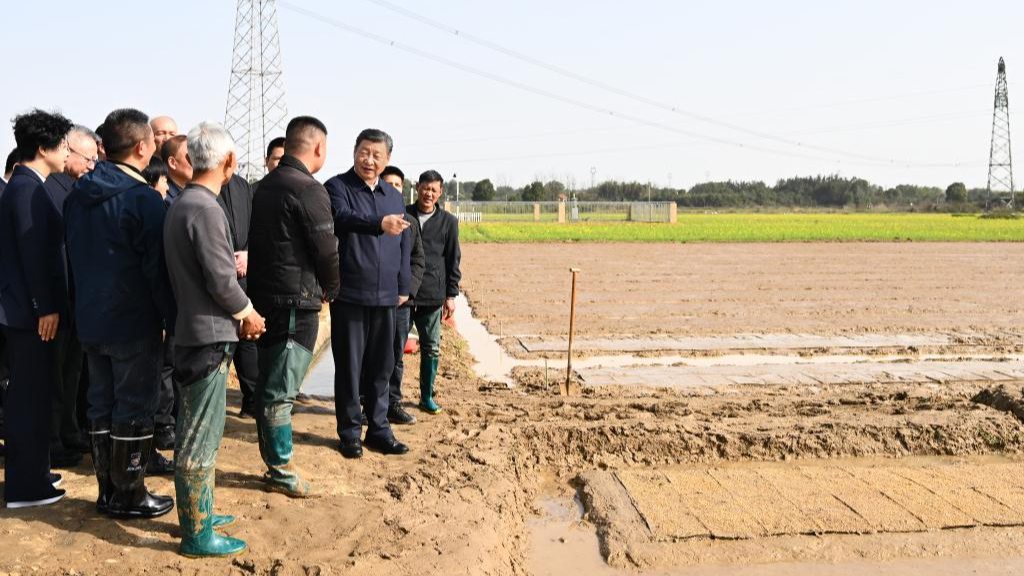 Chinese President Xi Jinping inspects spring farming and its preparation work while visiting Gangzhongping Village of Xiejiapu Town, Dingcheng District, Changde, central China's Hunan Province. March 19, 2024. /Xinhua