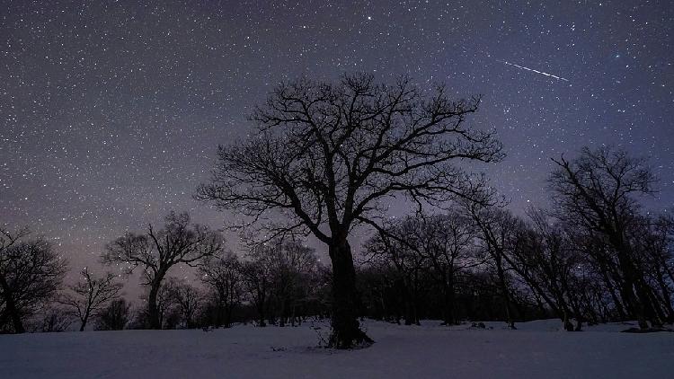 Catching the Quadrantids: Tips for Viewing the First Meteor Shower of 2025