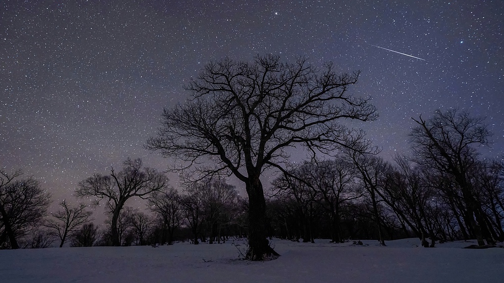 The Quadrantid meteor shower is seen in Huinan County, northeast China's Jilin Province, January 4, 2022. /CFP