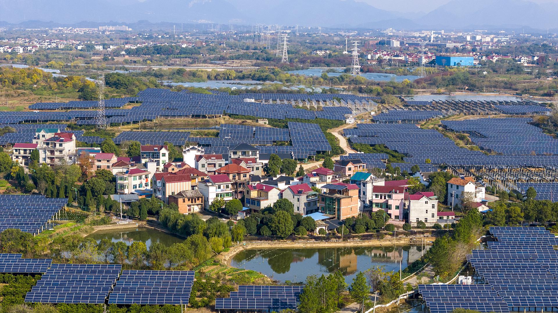 China's energy legislation fosters eco-friendly shift, international energy management