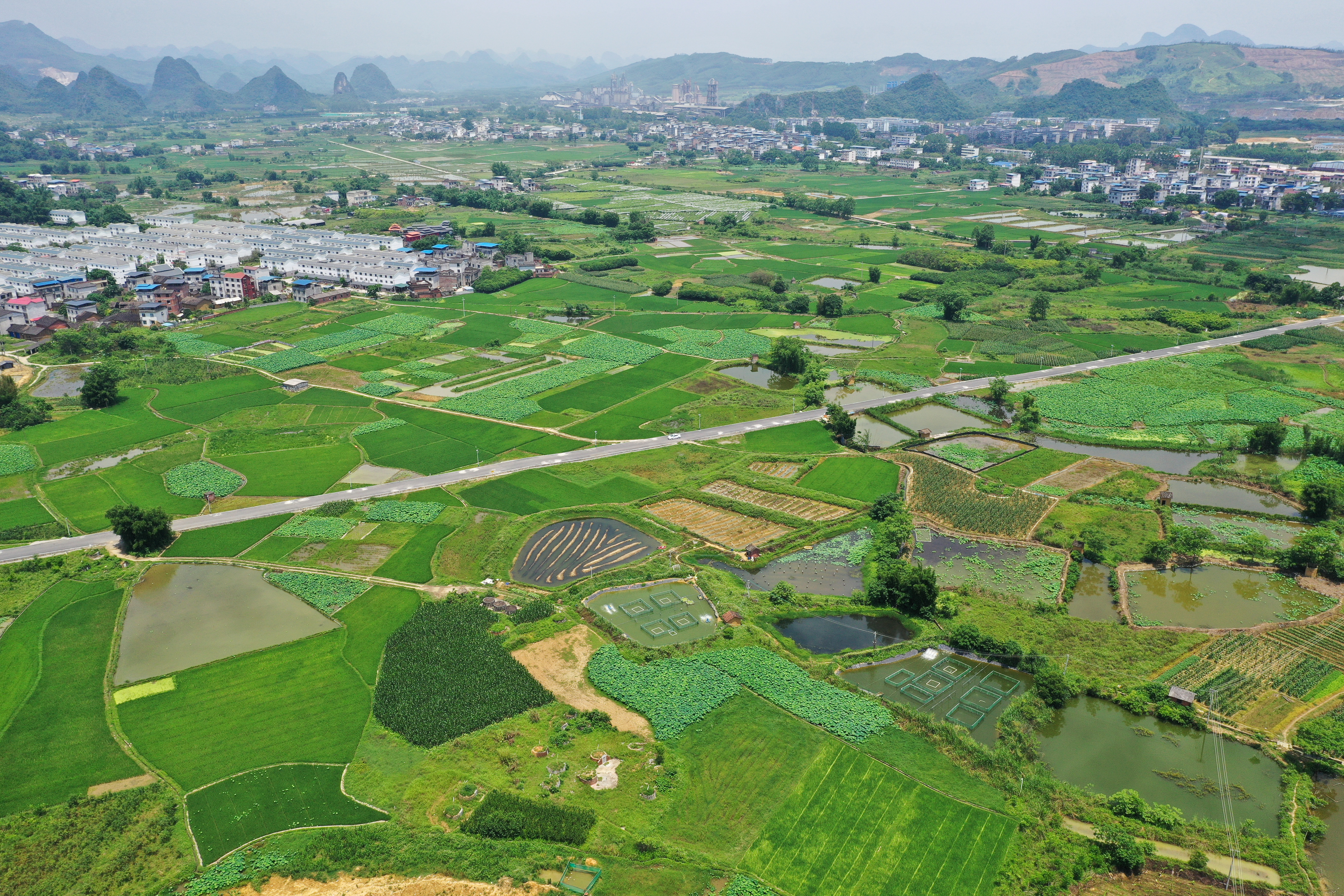 Luosifen Town in Liuzhou, Guangxi is seen in a file photo. /IC