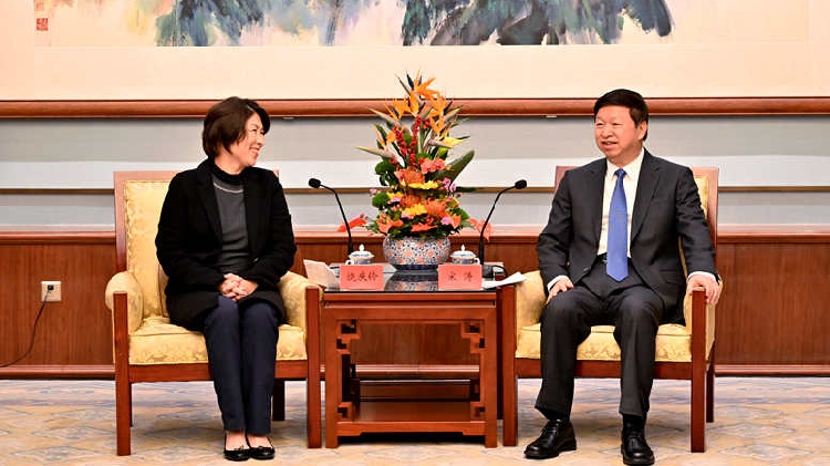Mainland official stresses importance of promoting cross-Straits ties ...