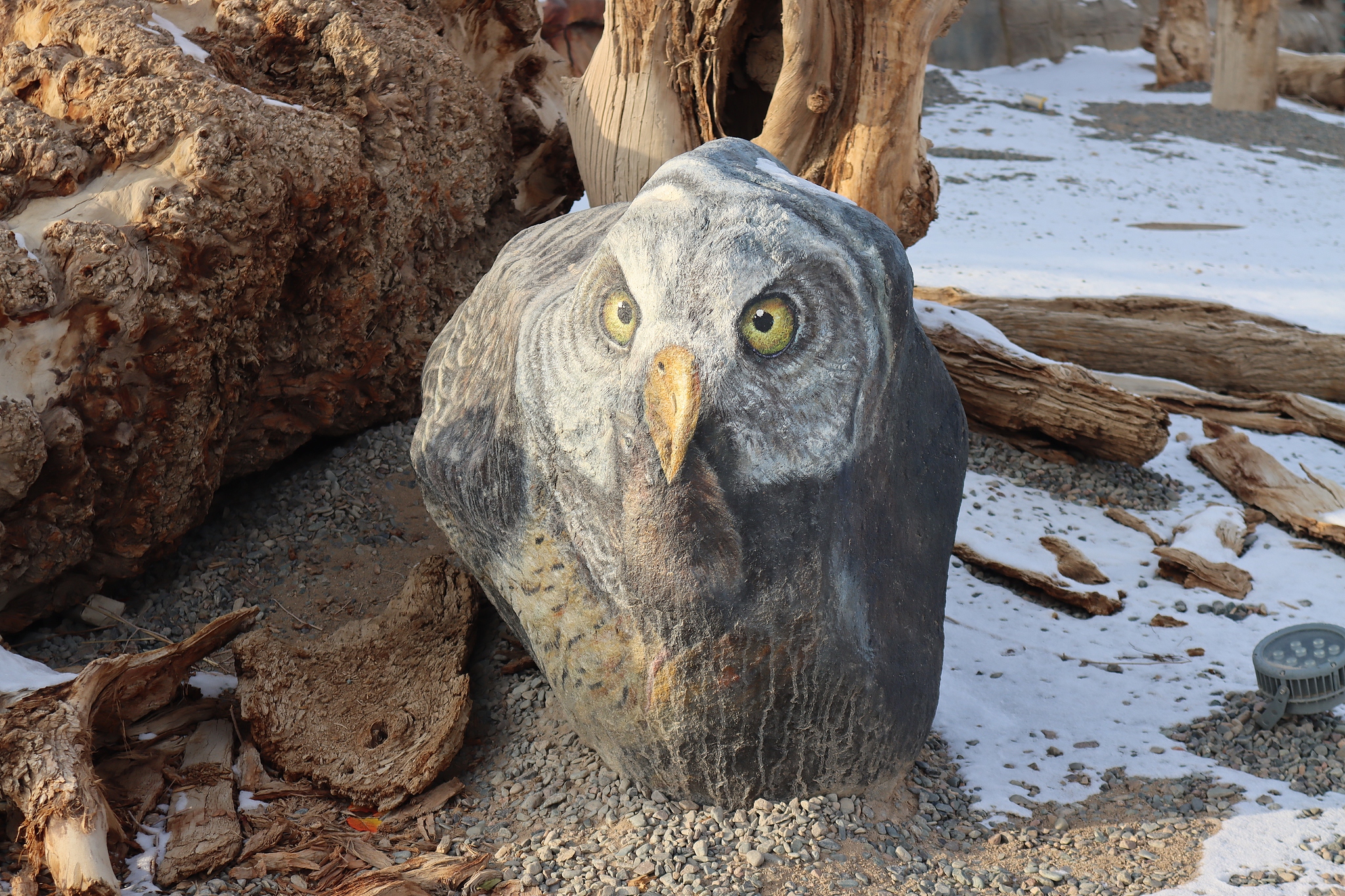 A rock painting is seen on display at the East Tianshan Natural Geology Exposition Park in Hami, Xinjiang Uygur Autonomous Region. /CFP