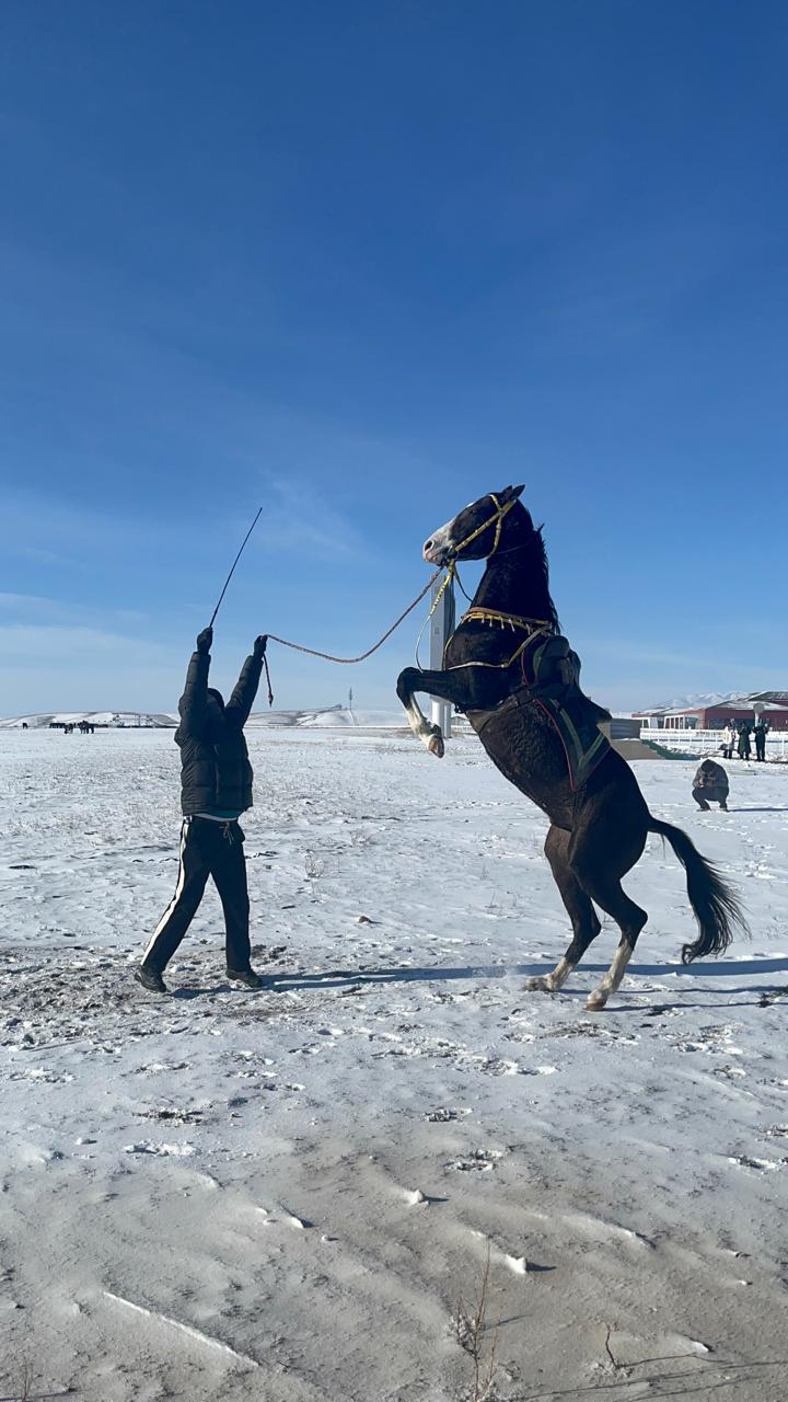 Visiting the Cultural Park of Heavenly Horses in Zhaosu County. /Tahir Farooq