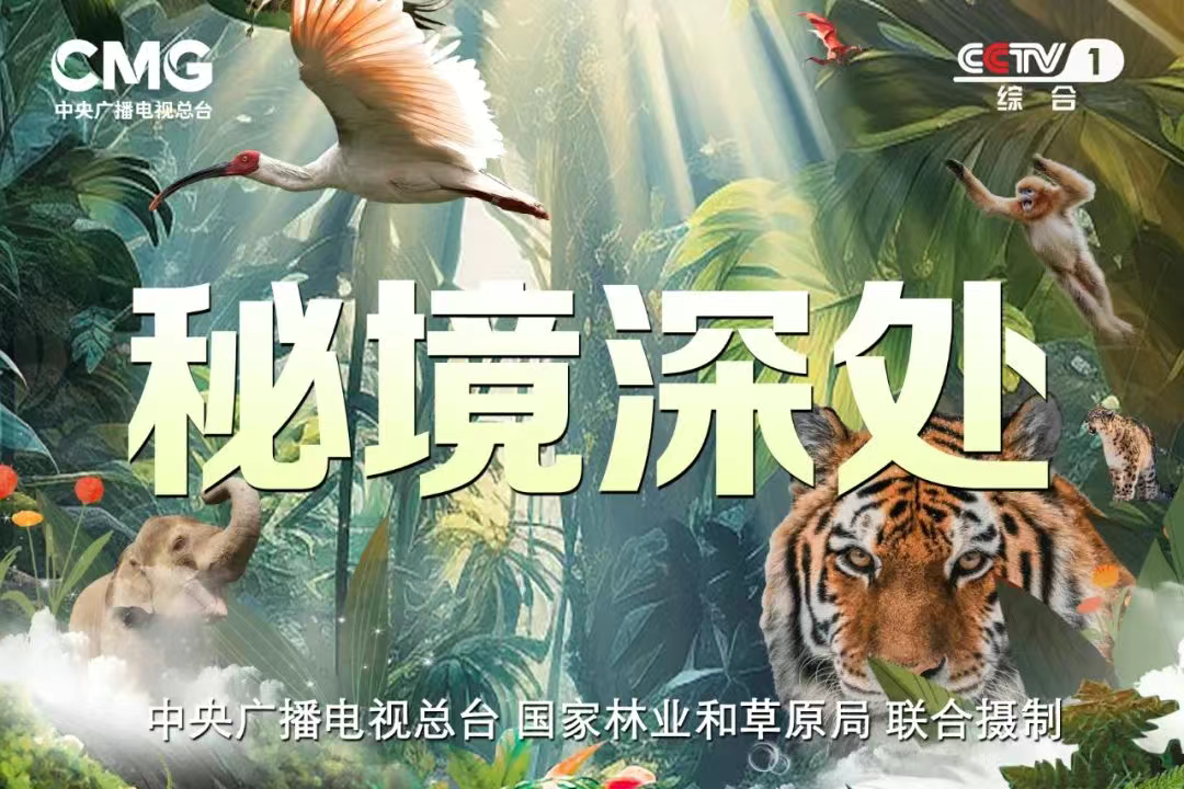 Cover of the nature documentary 