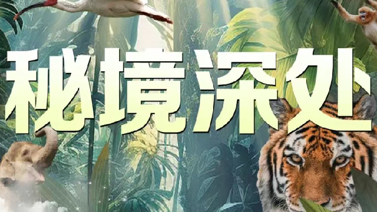 New nature documentary series premiered by China Media Group