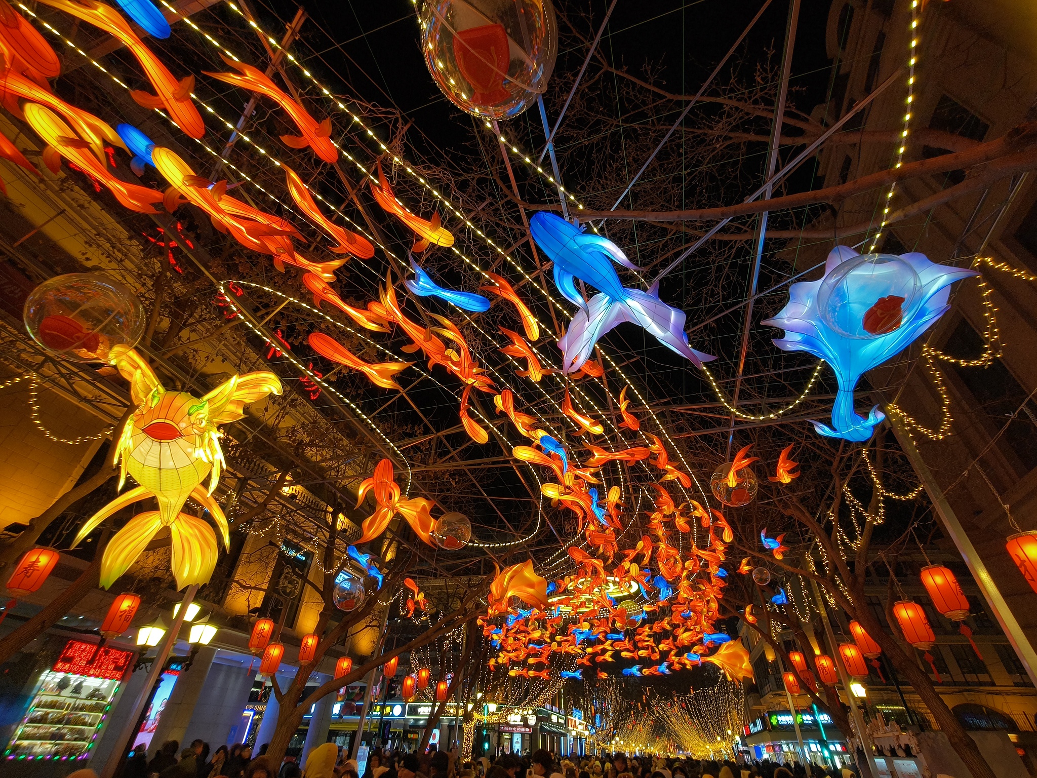 Colorful lanterns on the Central Street, January 1, 2025. /CFP