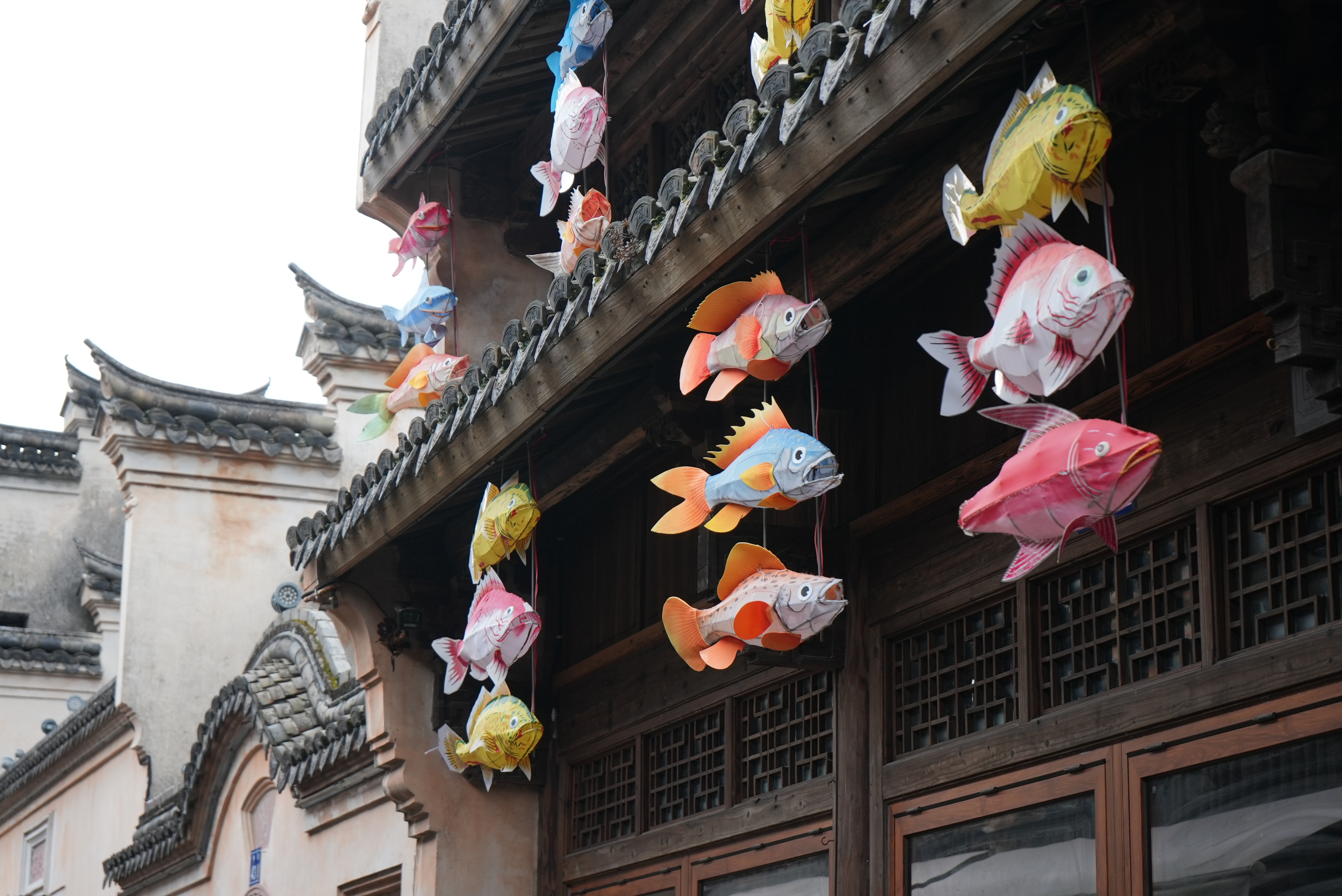 Fish lanterns in Shipu, December 24, 2024. /CGTN