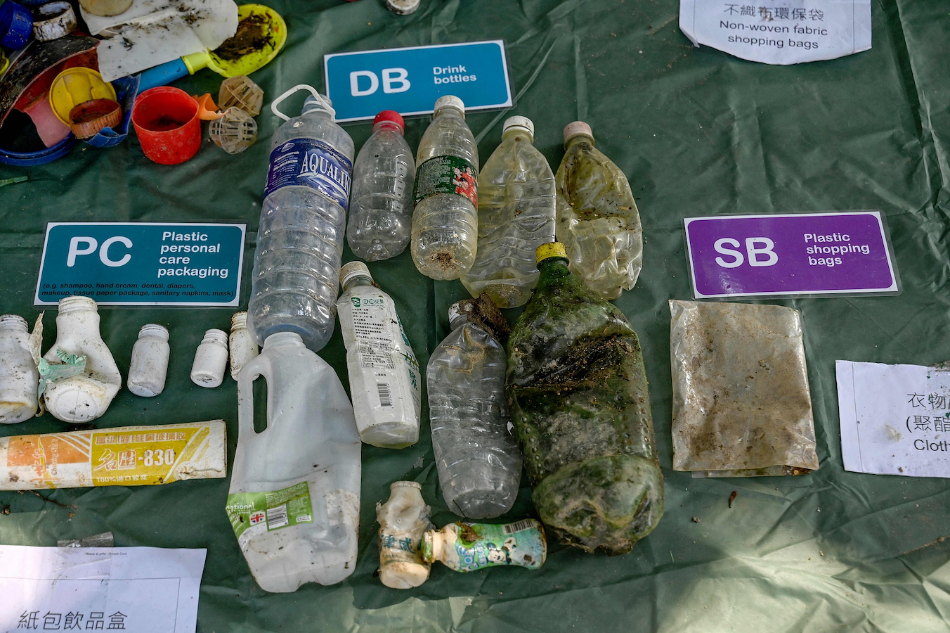 Campaigners collect plastic waste near Pui O River in the Hong Kong Special Administrative Region, China, September 1, 2024. /CFP