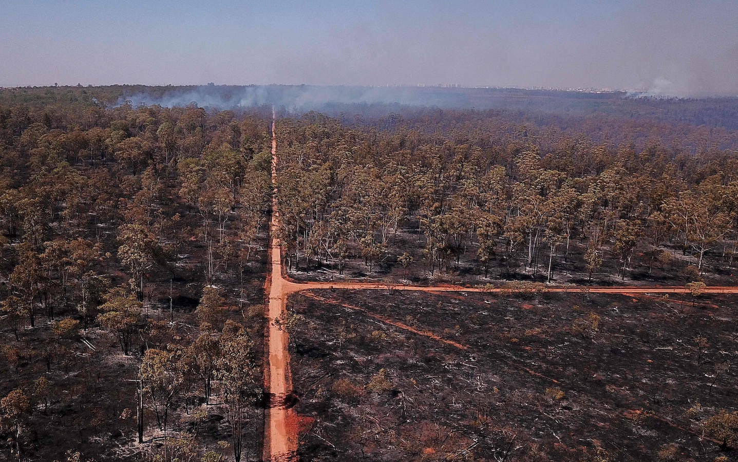 Aerial view showing areas affected by fires in the Brasilia National Forest region in the Federal District of Brazil on September 4, 2024. /CFP