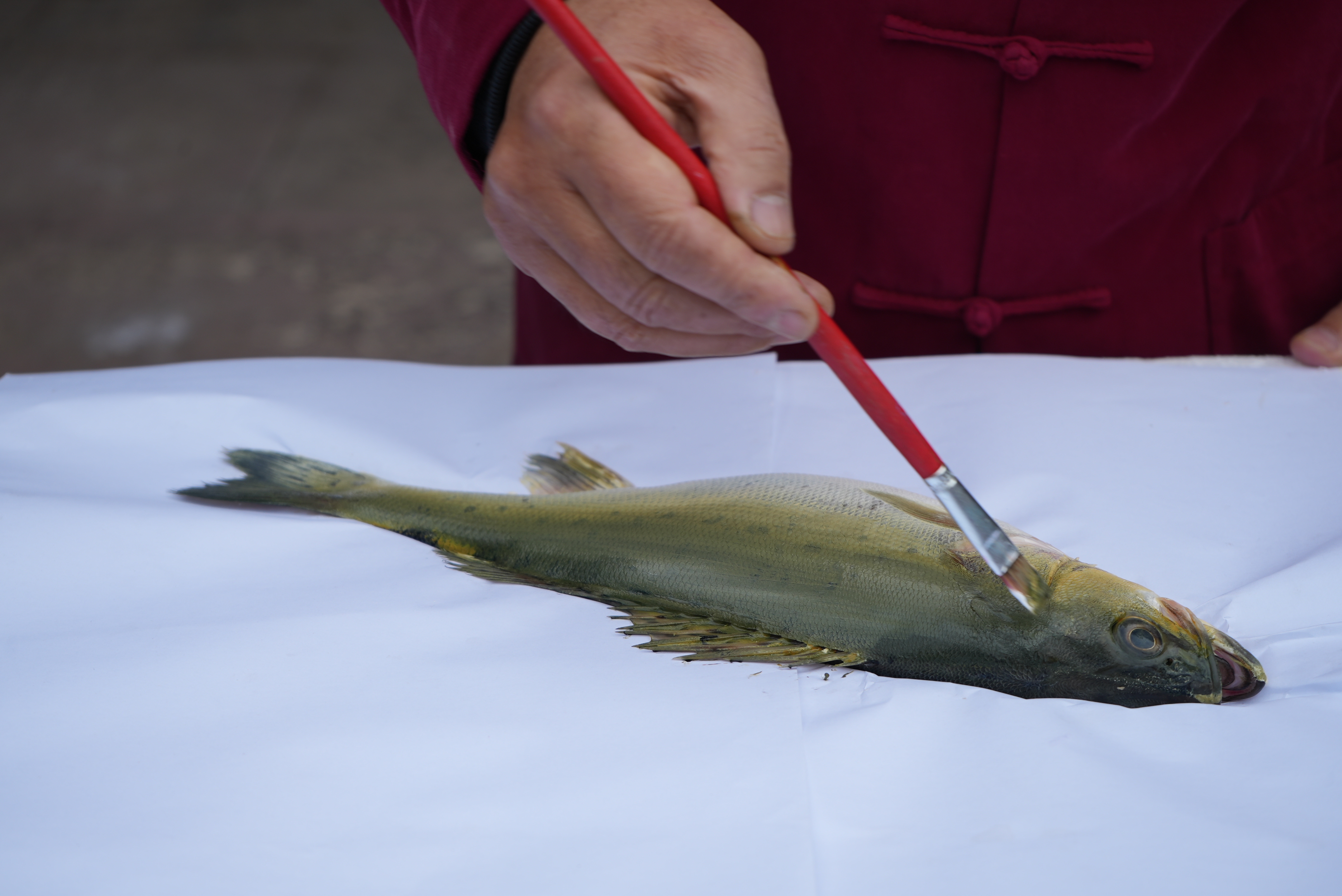 Lu puts ink on the fish, Xiangshan, December 27, 2024. /CGTN