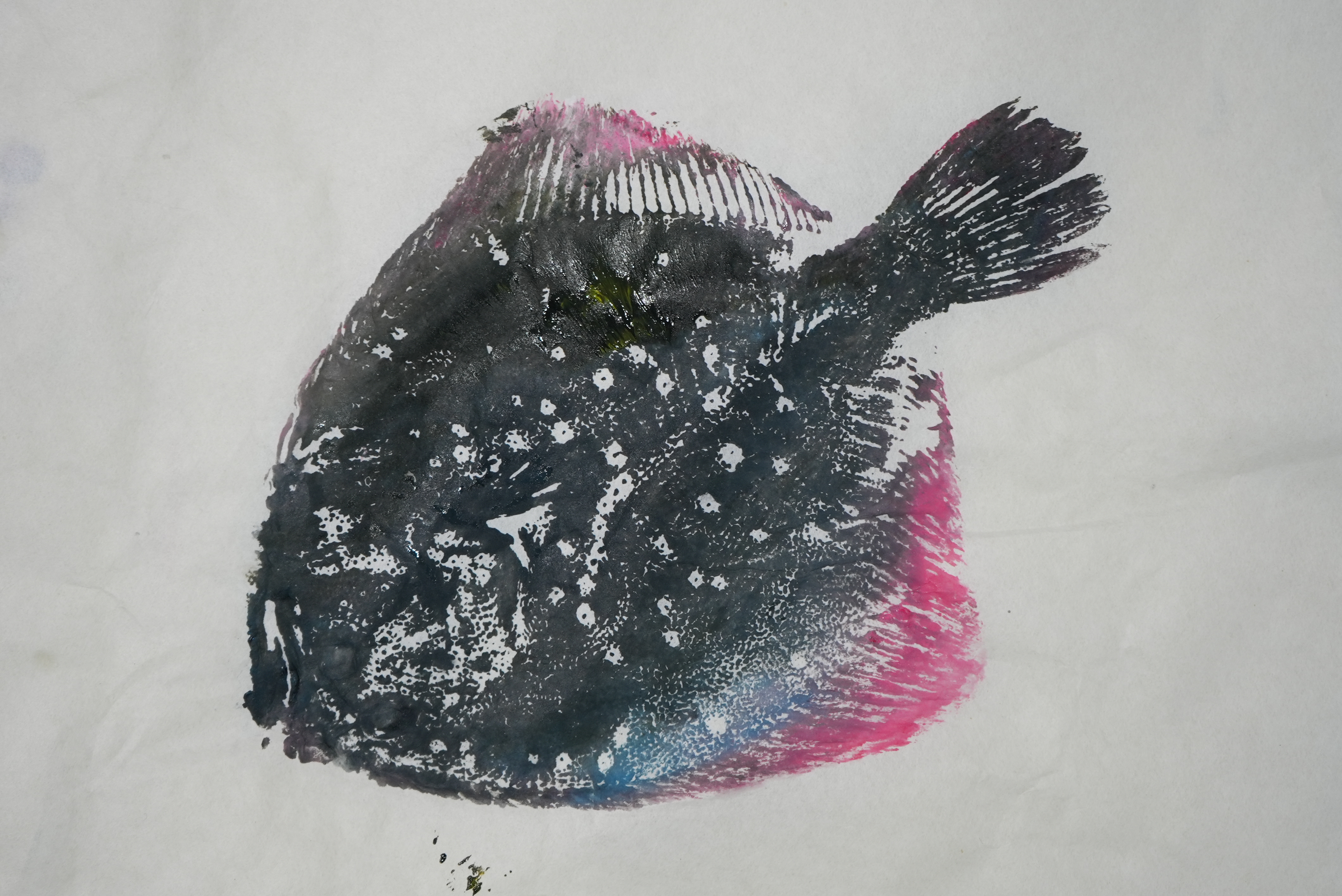 Fish print by Lu's kindergarten students, Xiangshan, December 27, 2024. /CGTN