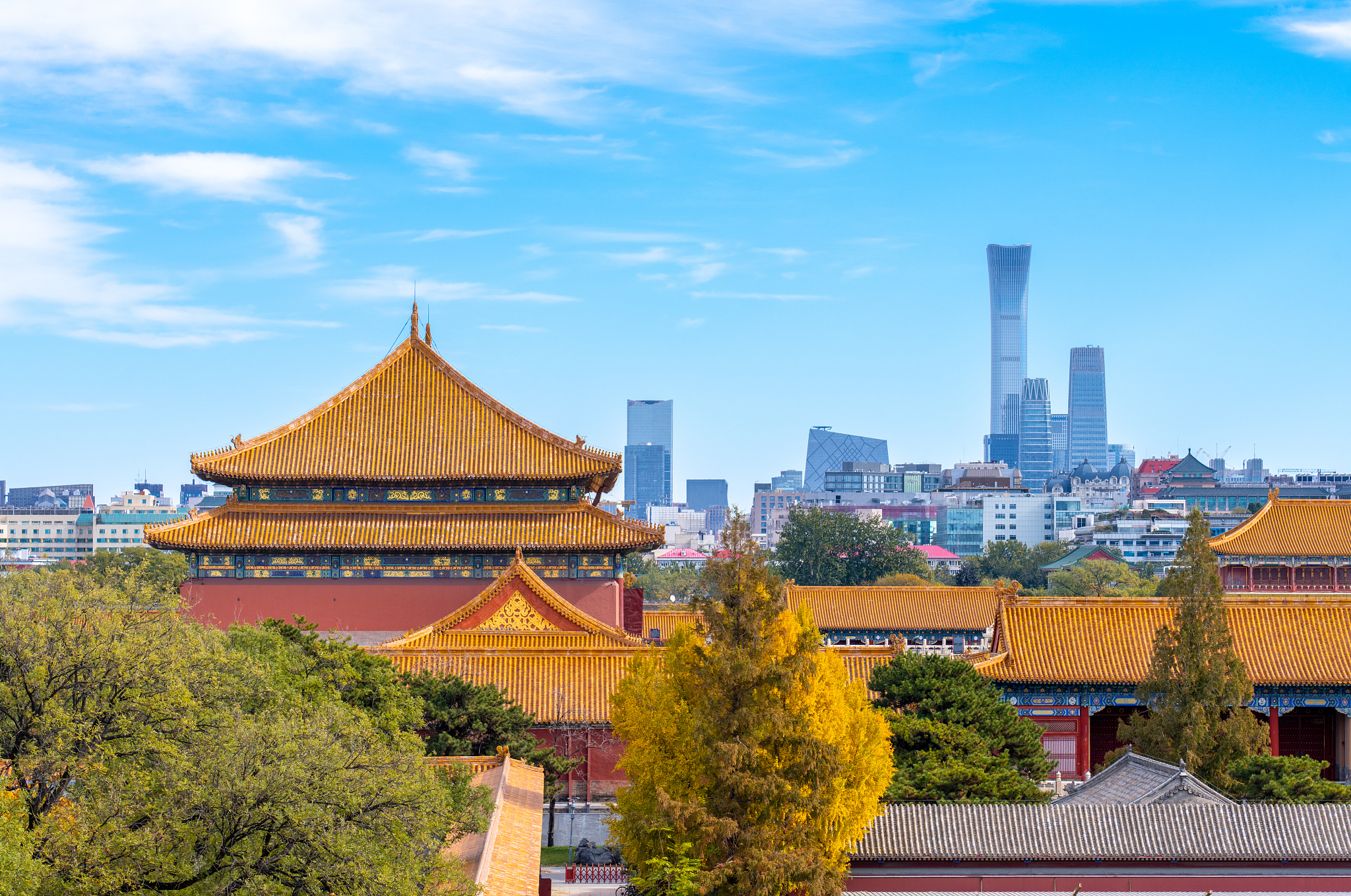 A view of the Forbidden City in autumn with golden ginkgo leaves and the central business district of Beijing in the background. /CFP 
