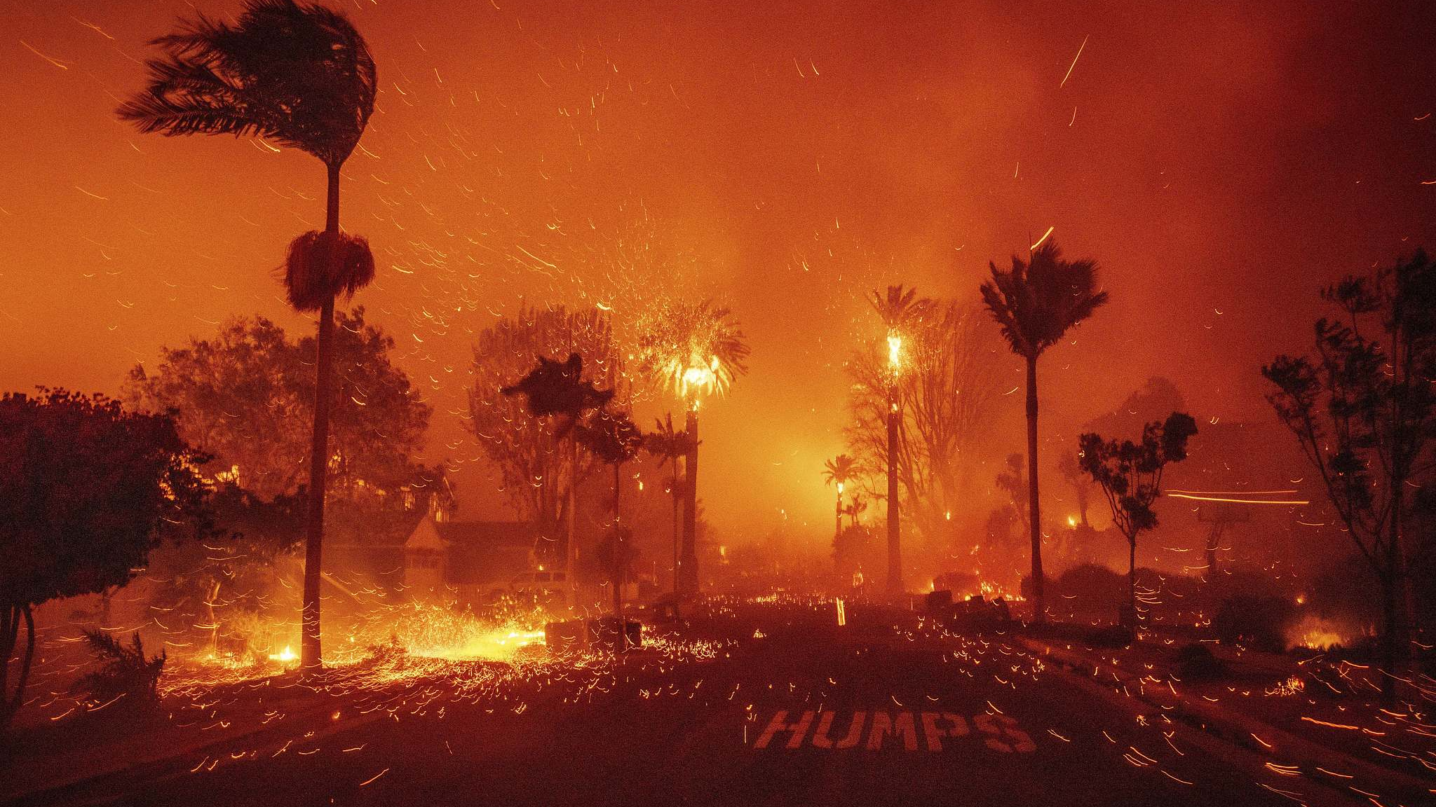 The Palisades fire ravages a neighborhood amid high winds in the Pacific Palisades neighborhood of Los Angeles, January 10, 2025. /CFP