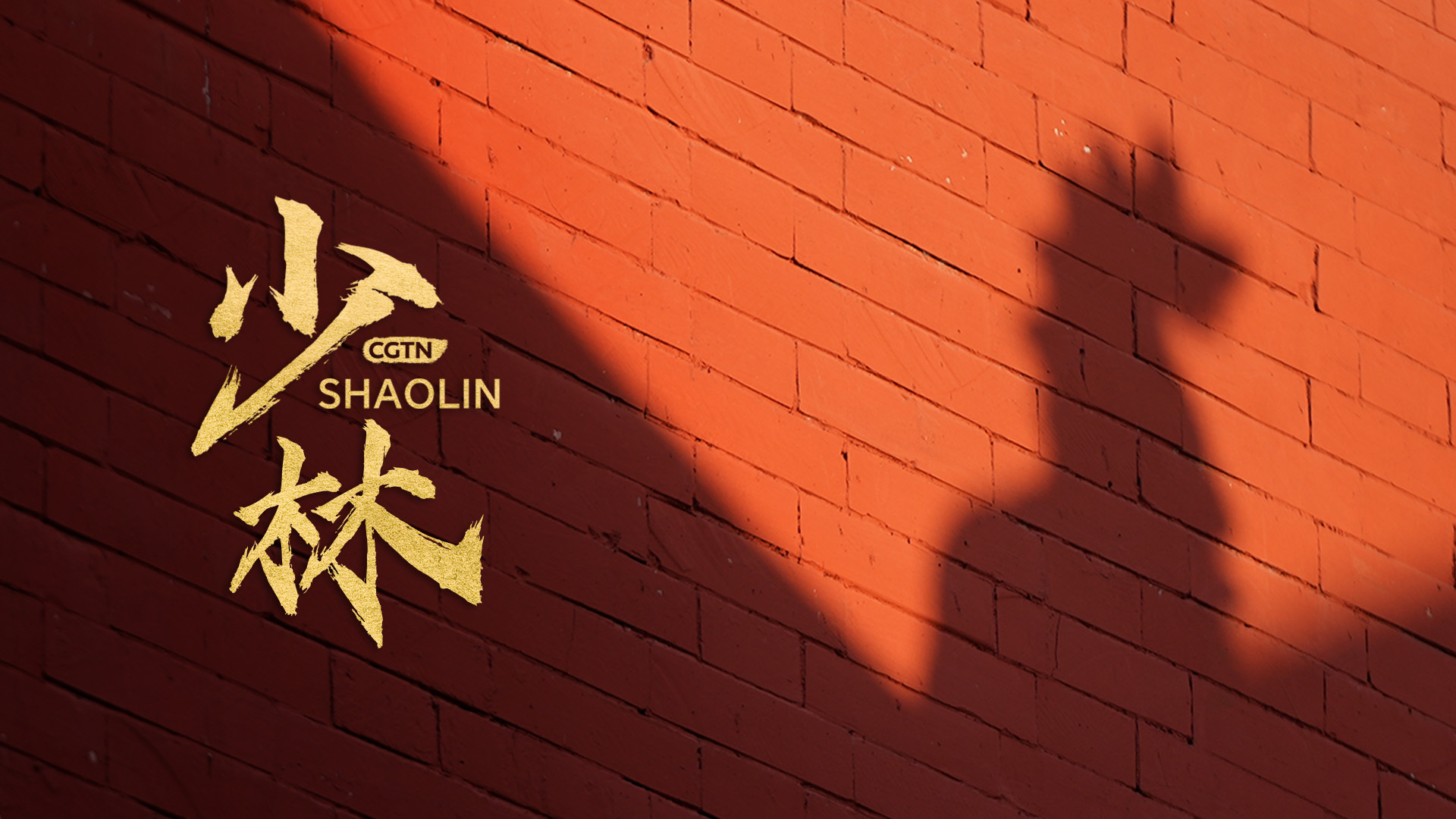 A symphony of light: Dawn at the Shaolin Temple 