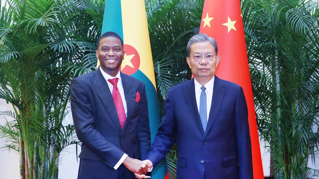 Zhao Leji (R), chairman of the National People's Congress Standing Committee, meets with Prime Minister of Grenada Dickon Mitchell in Beijing, China, January 13, 2025. /Xinhua