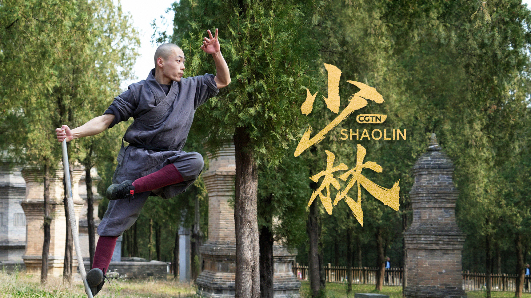 In pics: Shaolin kung fu – Monkey Stick