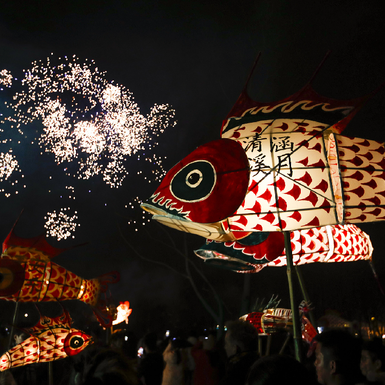 Legacy Trails: Flying fish lanterns light up Anhui's night sky - CGTN