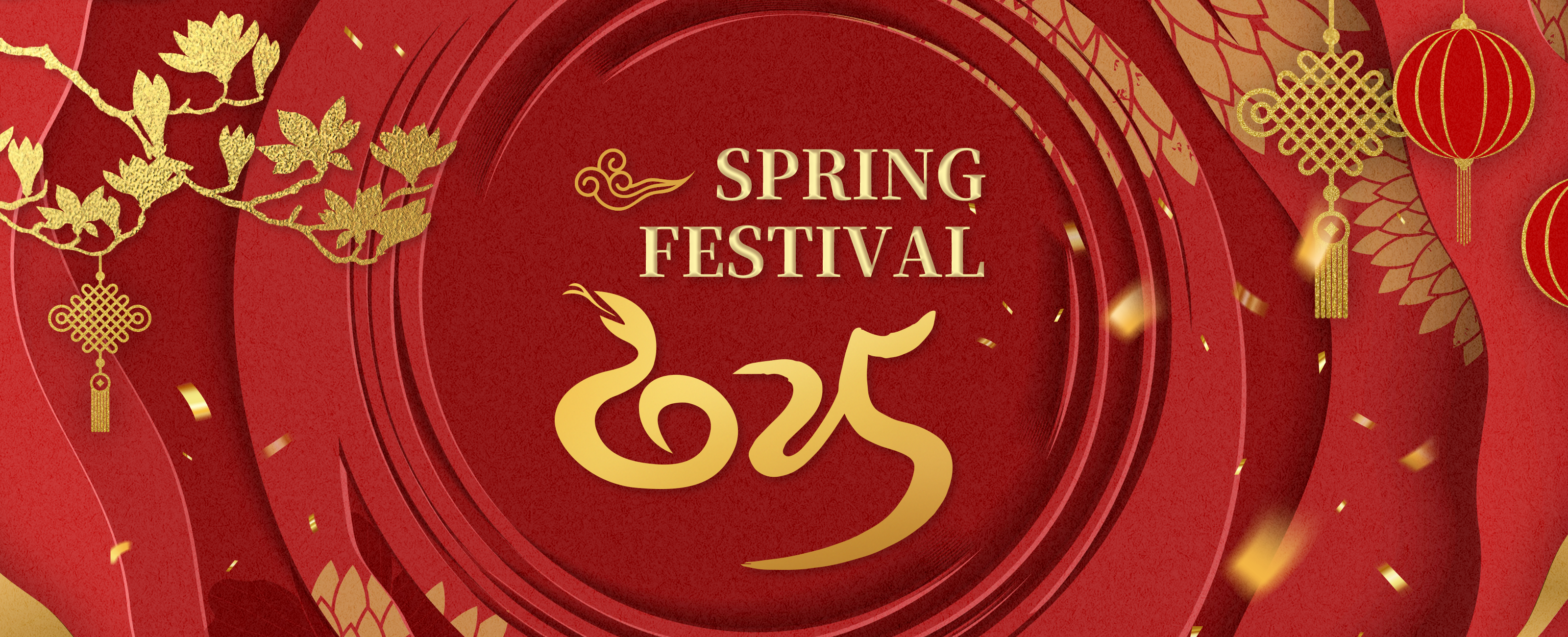 banner for 2025 spring festival