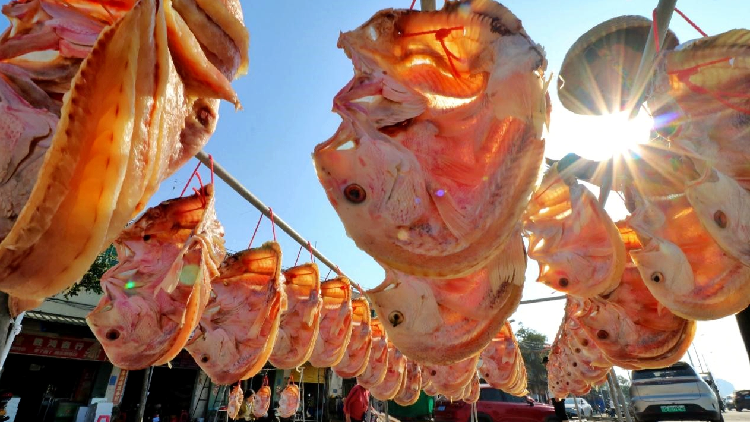 Redfish, an indispensable delicacy during Spring Festival in Hainan