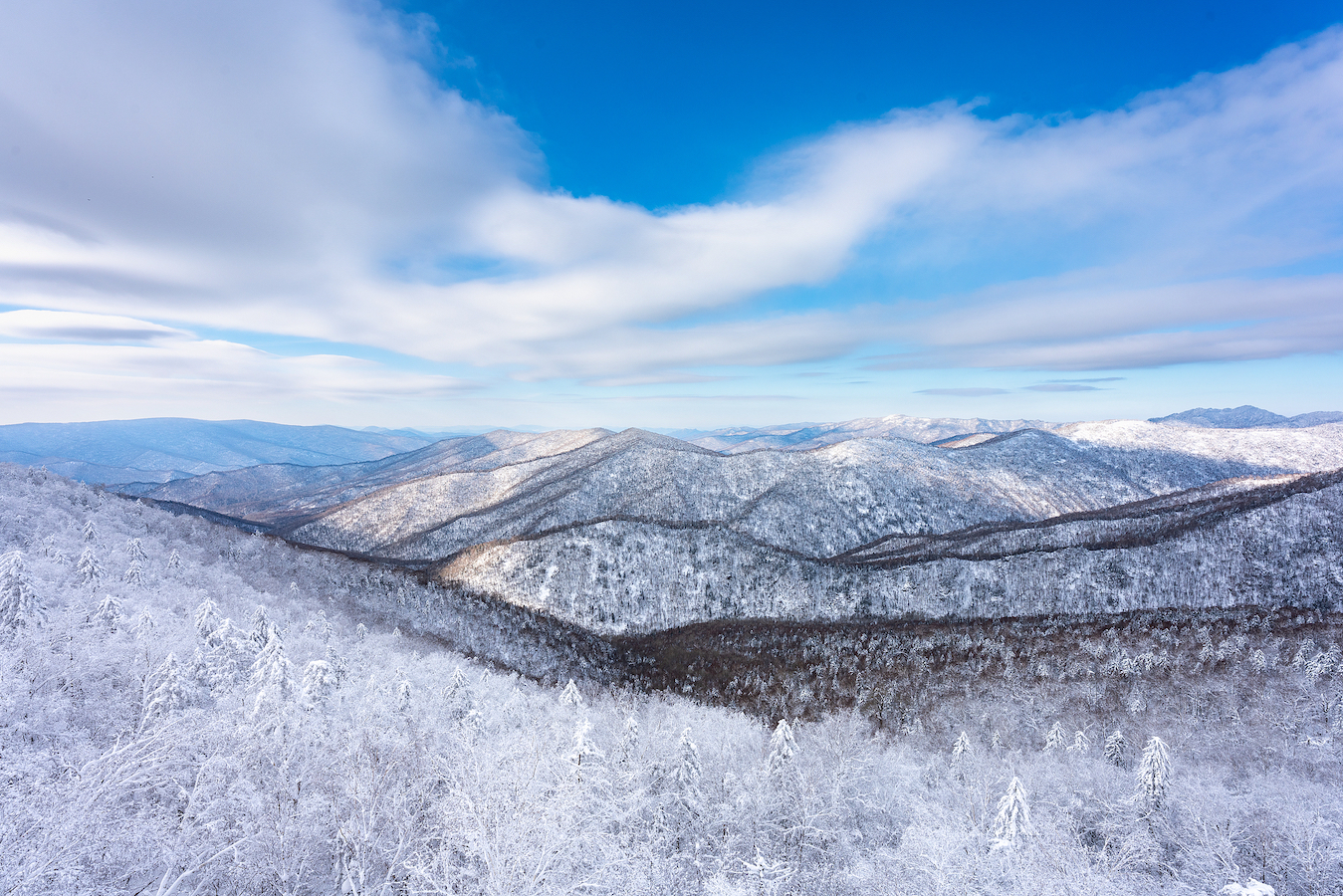 Winter forests in Heilongjiang Province, northeast China. /VCG