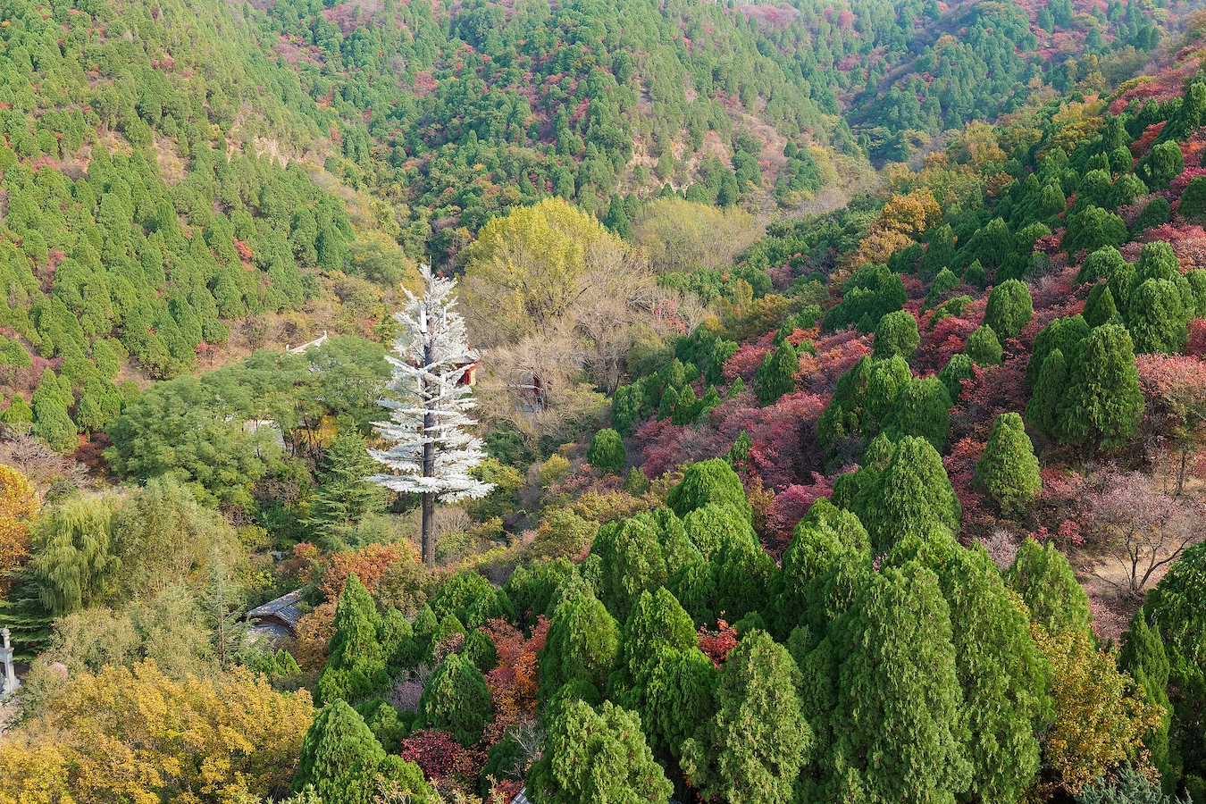 Autumn views in Jinan City, Shandong Province, east China. /VCG