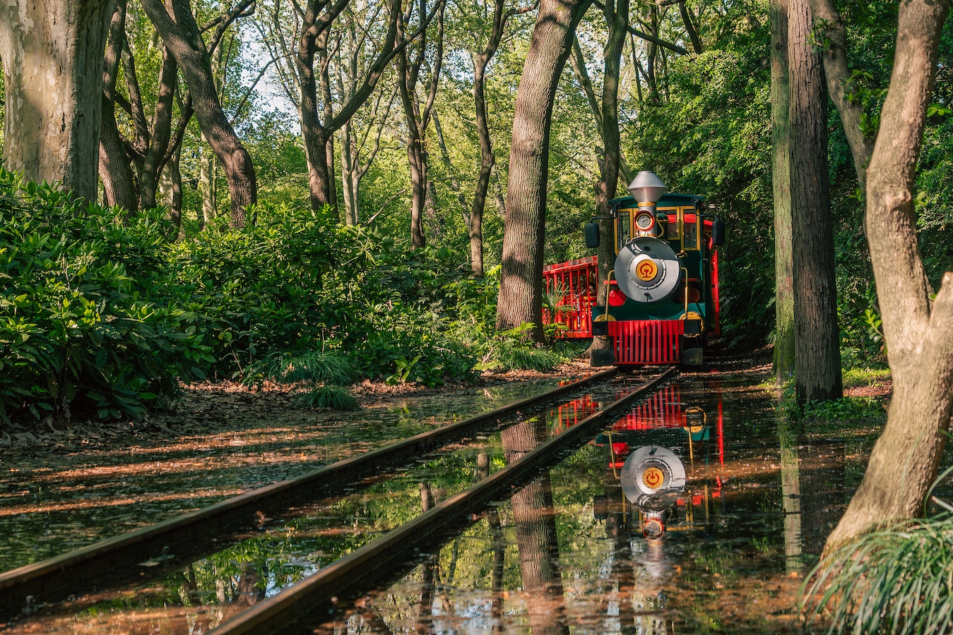 A little train chugs through the trees in a park in Shanghai, China. /VCG