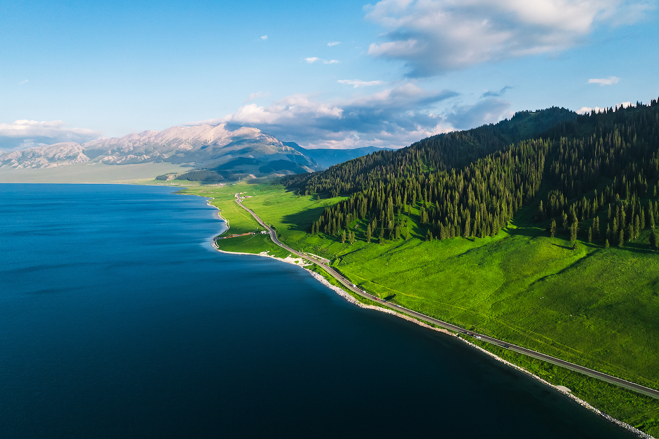 Trees around the Sayram Lake in Xinjiang Uygur Autonomous Region, southwest China. /VCG