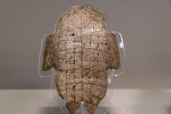 A piece of oracle bone on exhibition at Yinxu Museum in Anyang City, central China