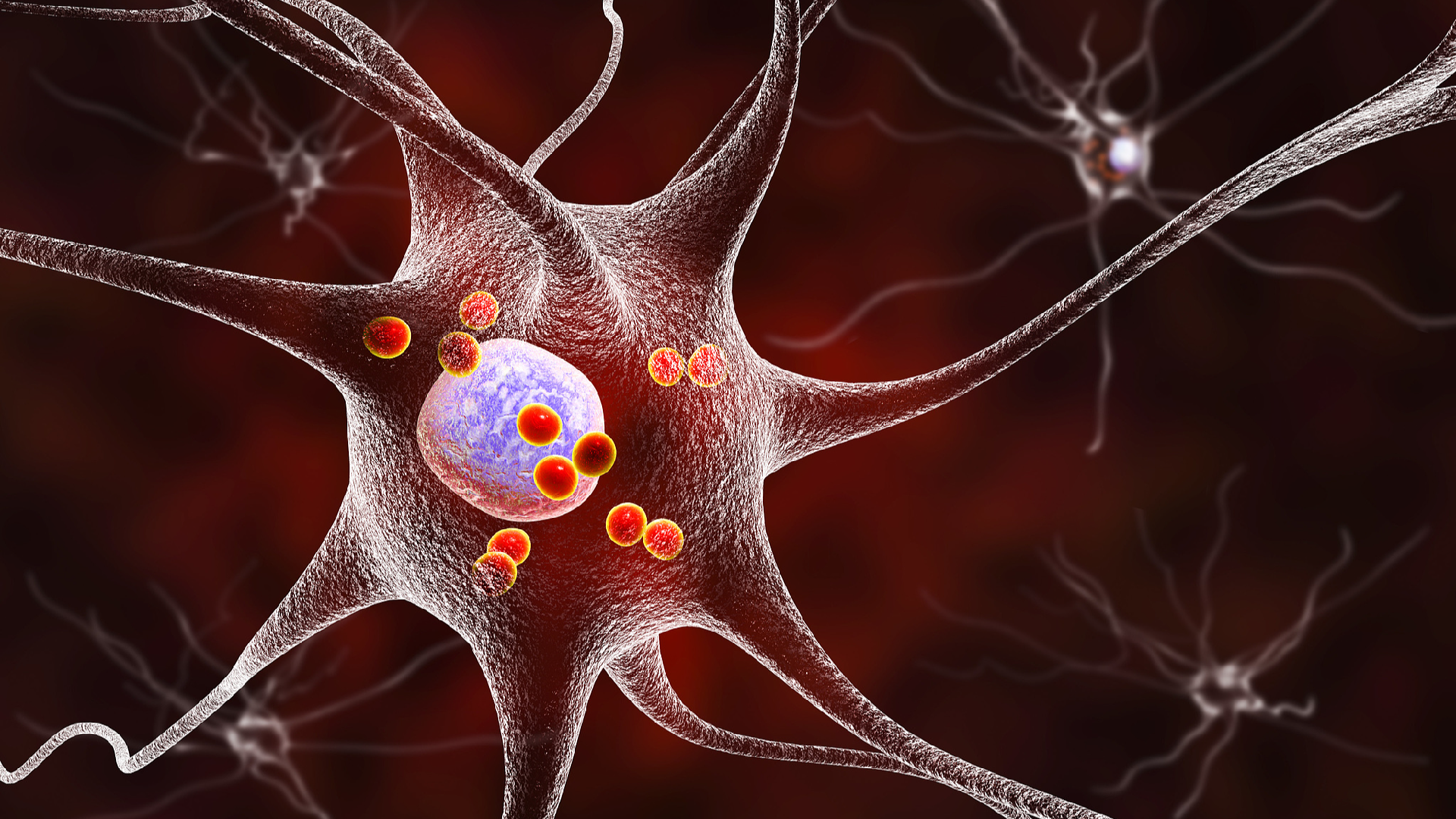 Chinese scientists identify novel therapeutic target for Parkinson's disease